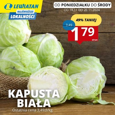 kapusta app(1)